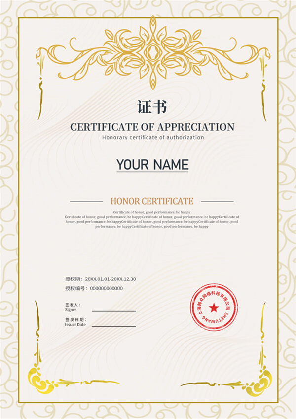 Hyundai Elantra Motor